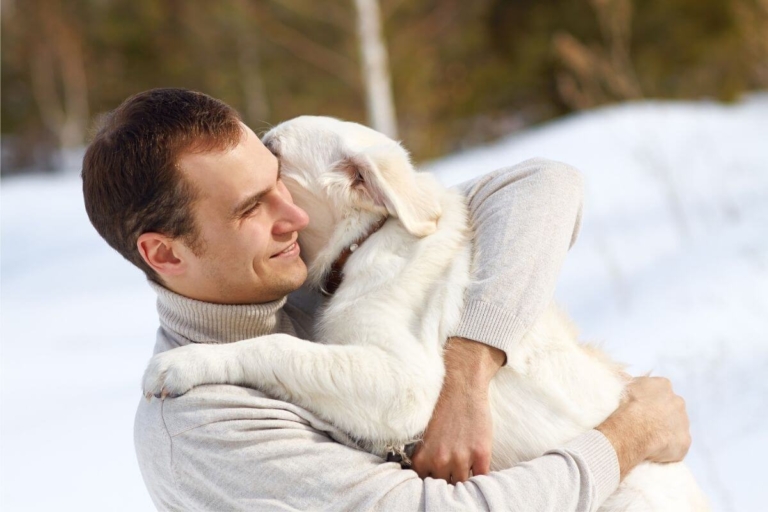 Think Your Lab Loves You? 15 Ways Labrador Retrievers Show Affection to ...