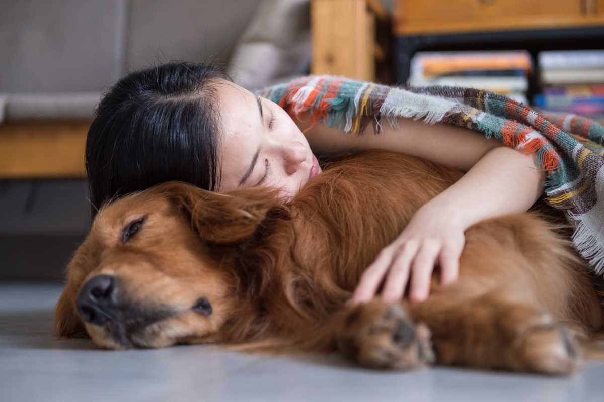 Should I Let my Golden Retriever Sleep with Me
