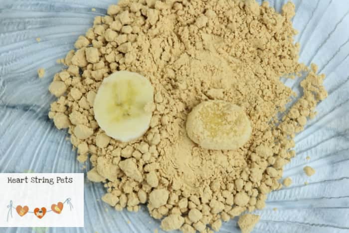 Banana Peanut Butter Dog Treats (2-Ingredients)