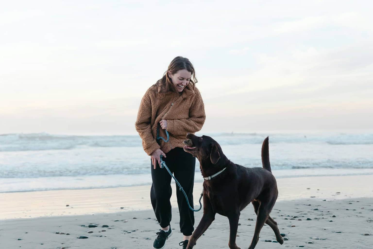 Think Your Lab Loves You? 15 Ways Labrador Retrievers Show Affection to ...