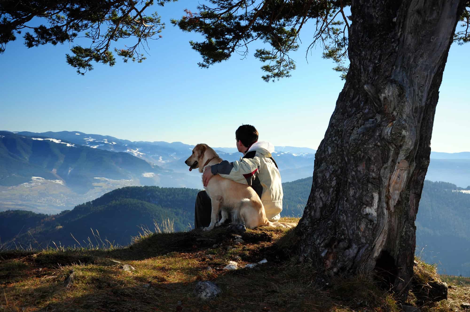 16 Best Dog Breeds for Backpacking: Your Perfect Adventure Companions!