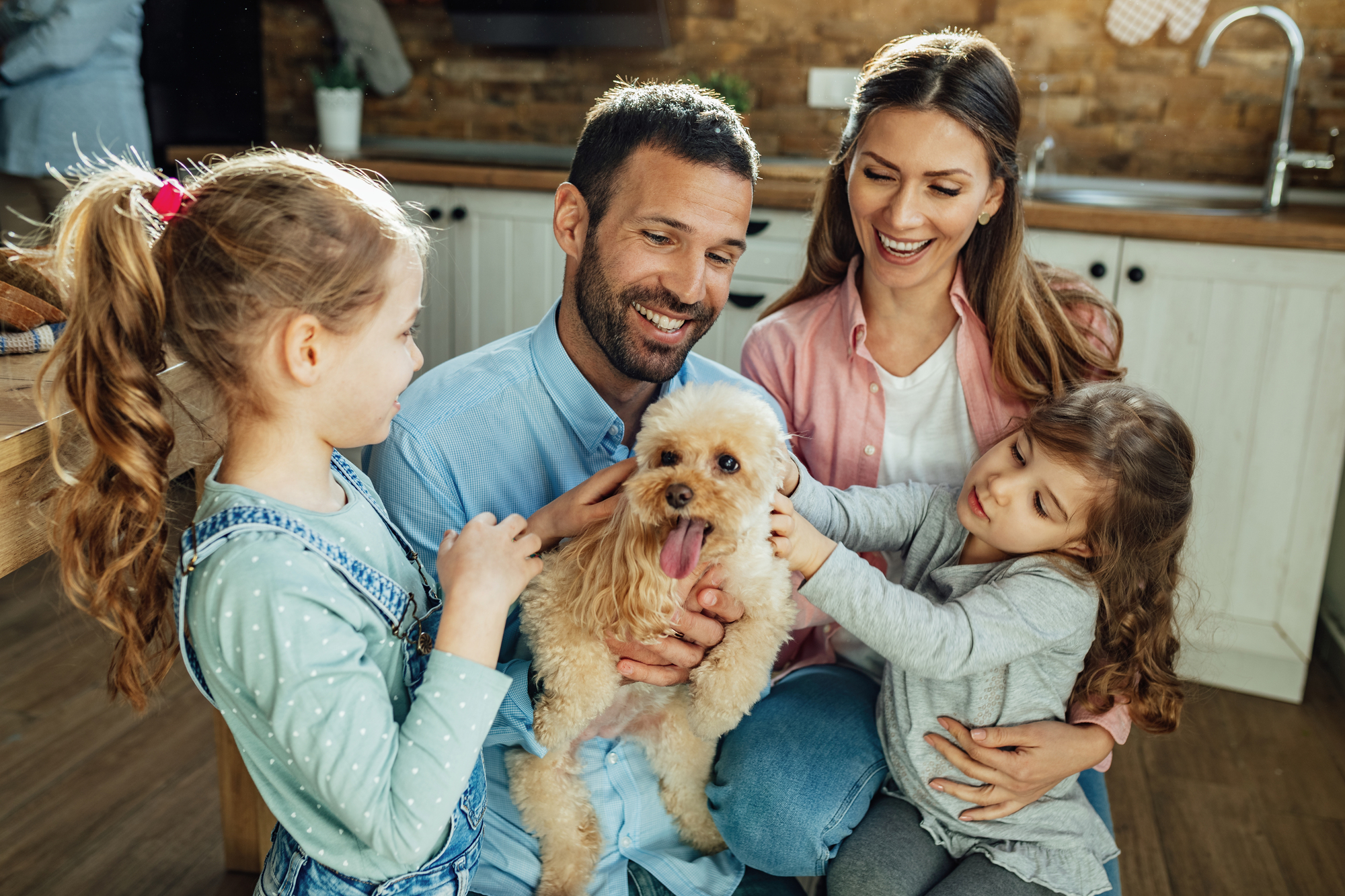 10 Perfect Dog Breeds for First-Time Dog Owners