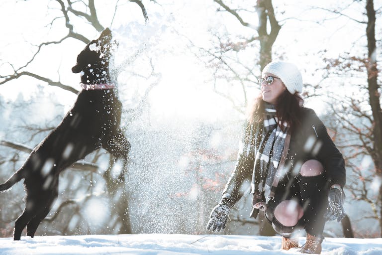 Fluffy black dog playing in the snow with a woman outdoors during winter, joyful pet and owner enjoying snowy day.
