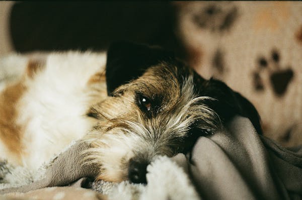 Free stock photo of analog, analog camera, analog film